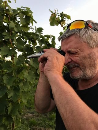 Vinobraní 2025 je úspěšně za námi a my pro vás máme malý report fotek a videí 🍇😄 #vinarskydumsedlec #rodinnevinarstvi...